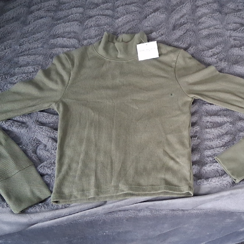 American Eagle Outfitters Sage Green Turtleneck Sweater